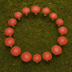 Muzk4rya - Fairy Ring
