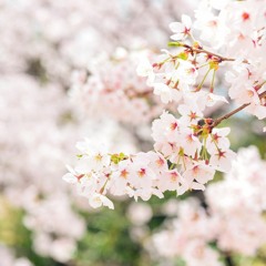 내가 죽으려고 생각한 것은(僕が死のうと思ったのは) - 나카시마미카, 아마자라시(中島美嘉, あまざらし) COVER BY MEE NAH 미나