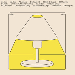 Experimentalist