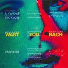 5sos - want you back (sped up)