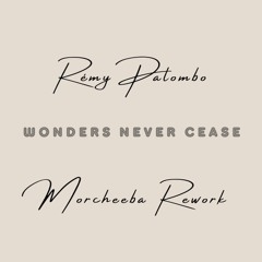 Wonders Never Cease (Rémy Palombo Rework)