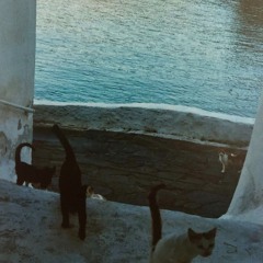 Autunno Feelings w/ Stella & Fredi