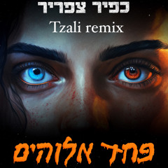 Kfir Tsafrir - Pahad Elohim TZALI Remix כפיר צפריר - פחד אלוהים