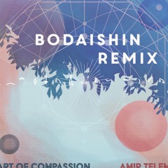Amir Telem - Clocks (Bodaishin Remix) [3000Grad]