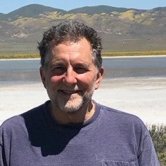 Stir It Up - Apr 9, 2025