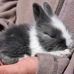 Why Am I Soft In The Middle (vocals)