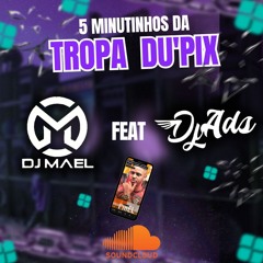5 MINUTINHOS DA TROPA DU PIX - DJ ADS O CHFF X DJ MAEL
