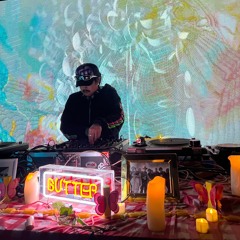 That Cat Lawrence - Cat in the Bag