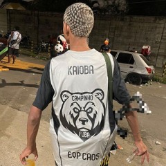 CAÇAR UM TRABALHO SUAS VAGABUNDAS X EQUIPE CAOS - ( DJ2RSUCESSADA )