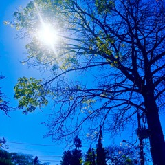 DE SOMBRA E SOL(New mix home)