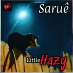 Saruê - Little haze
