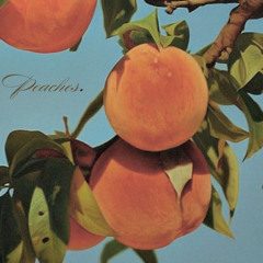 Peaches.