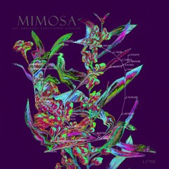 LLLIT - Mimosa (Radio Badjay Remix) [LT934] CUT