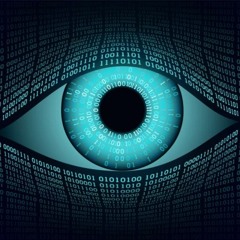 #341: Astroturfing, Contact Tracing, the Patriot Act and Digital Entrapment with Helen Buyniski