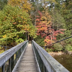 Mera Gunj-E-Shakar [Live in Holland 1993] - Ustad Nusrat Fateh Ali Khan (128 kbps).mp3