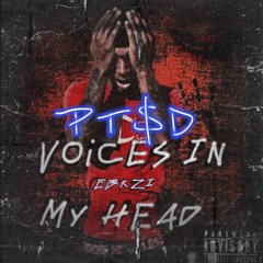 Ebk Zi - PTSD