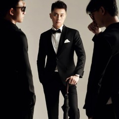 THÁI HOÀNG COLLECTION  - HUY DŨNG MIX