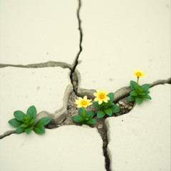 For those who have a past