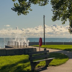 Optimum Aviary 010 (09.07.25)