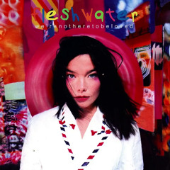 Fleshwater  - Enjoy (Björk Vocal)