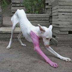 Main Attraction - Don Toliver (ft. Kream)