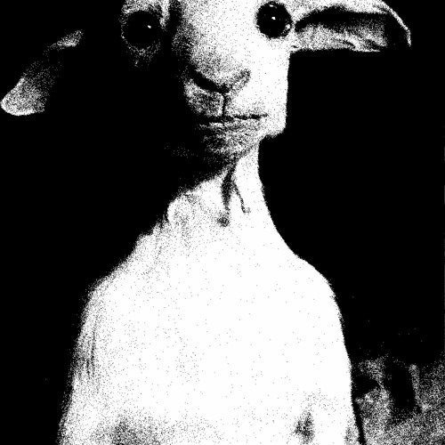 SKAPEGOAT FT. LOVE SPELLS