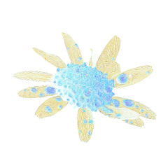 01 Samall Dre - temptation mode