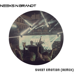 Aerosmith - Sweet Emotion (NEEKS N BRANDT Remix)