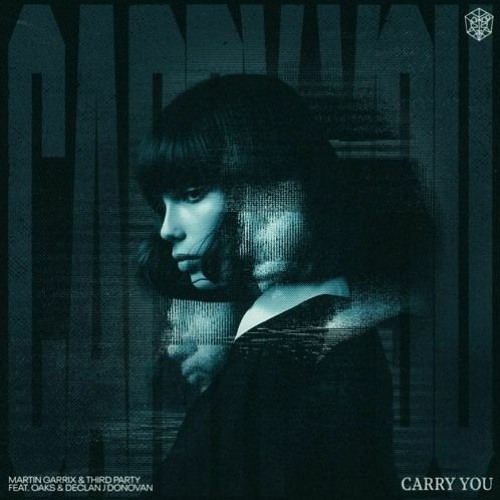 Martin Garrix, Third Party, Oaks, Declan J Donovan - Carry You (Instrumental Mix)