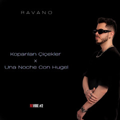 Sertab Erener – Koparılan Çiçekler (RAVANO Afro House Rework) | ReVibe #2