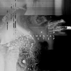 Torn - Experimental Halfstep (Sample Pack)