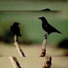 #FUCKTHEMALLCULTURE2026  - FEAT CHEYENNEDIED