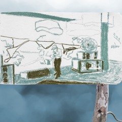 The Scribbly Gum at Woodburnia 2025