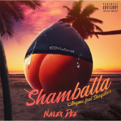 Anyme023 & Shaydee's - Shamballa (Nalex Dee Remix) (CarréVIP#13)