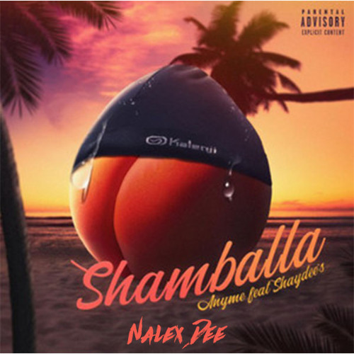 Anyme023 & Shaydee's - Shamballa (Nalex Dee Remix) (CarréVIP#13)