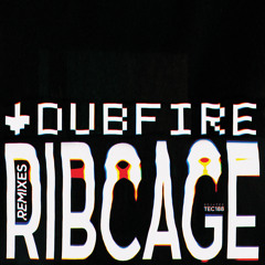Dubfire - RibCage (Adrian Sherwood Remix)
