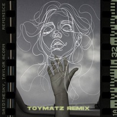 Said The Sky, Taylor Acorn - Reminisce(TOYMATZ Remix)