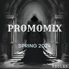 SPRING PROMOMIX 2024