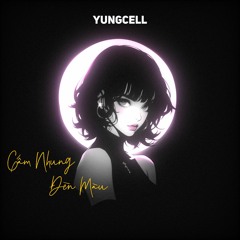 gấm nhung đèn màu - yungcell