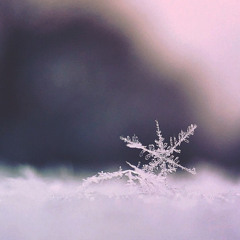 Through the Frosted Glass | Side A