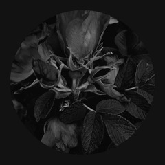 | Premiere | DPTRF - Resilencia (Original Mix)