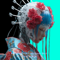 Erectro Tech (Original Mix) - RYOTA,Niki