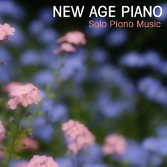Beethoven - Piano Sonata 09 opus 14 (3rd Part)