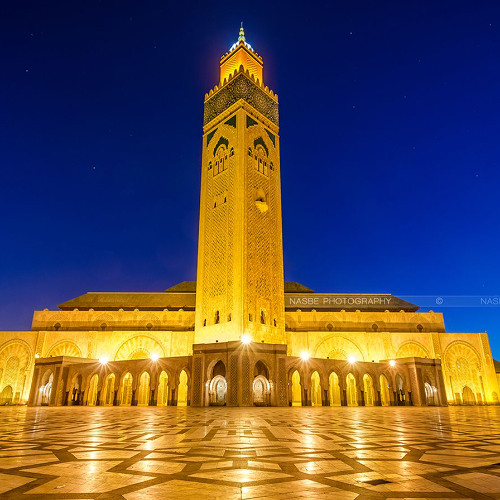 أواخر سورة فصلت قرآة خاشعة - عمر القزابري