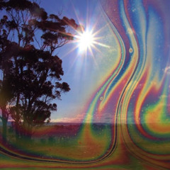 Friends or Foes (Demo)