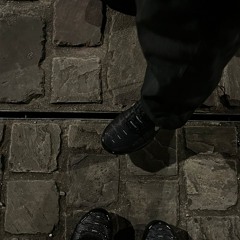 snow strippp - So What If I'm a Freak (léonne rmx)