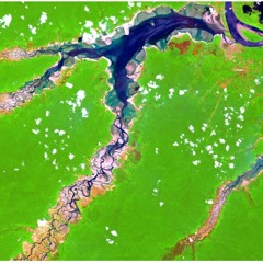 UNREPORTED: Amazon Emergency & Destabilized Atmosphere