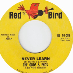 the odds and ends - never learn