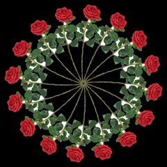 Spokeshat 3 ext lavamix