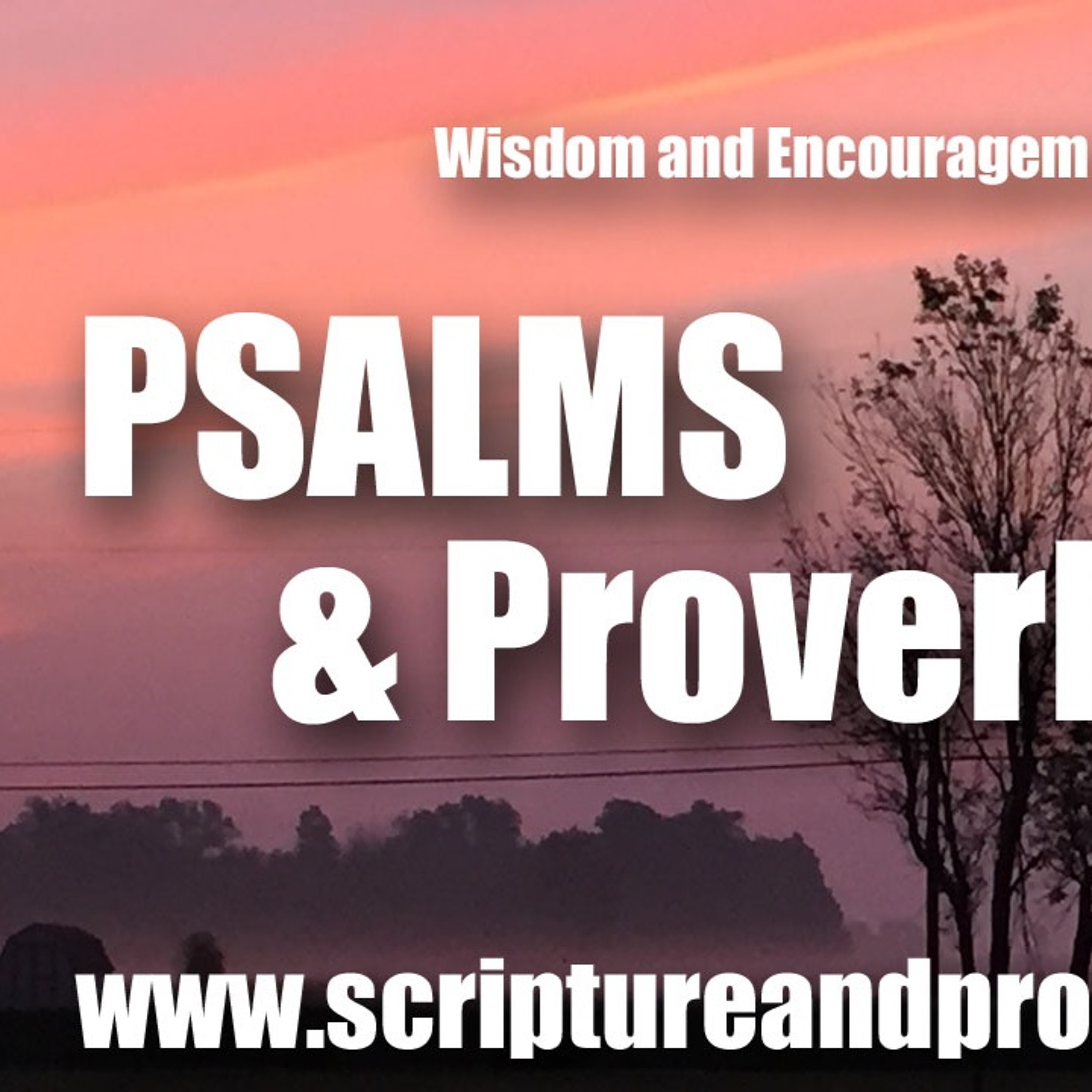 Wisdom From Psalm 101 & Proverbs 19: Walking In Godly Integrity & Guarding Your Eyes From Evil